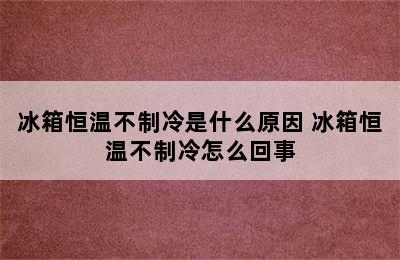 冰箱恒温不制冷是什么原因 冰箱恒温不制冷怎么回事